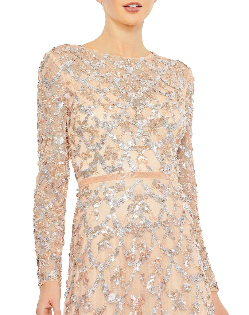 Blush Embellished Illusion A Line Gown Elilhaam