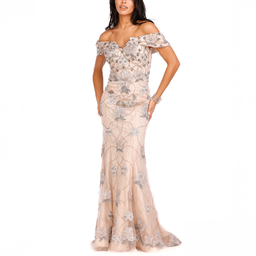 Champagne Off-Shoulder Embroidered Tulle Dress